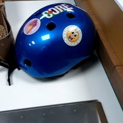 Kask, zgłoszono przez Diergaarde Blijdorp przy użyciu iLost