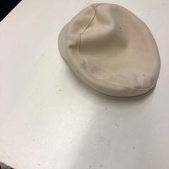 Pet がiLostで Het Amsterdamse Winterparadijs によって報告されました