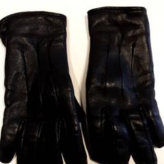 Luvas, segundo informou Qbuzz ZHN usando iLost