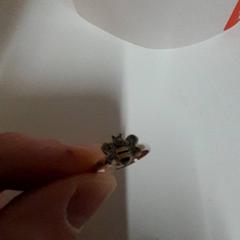 Ring, zoals gemeld door IKEA Utrecht met iLost