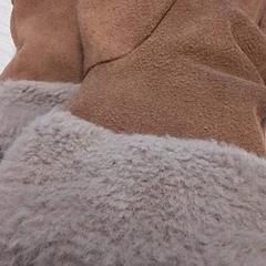 Luvas Bruin, como reportado por Qbuzz Fryslân utilizando o iLost