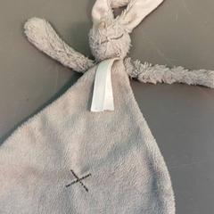 İLost kullanarak Diergaarde Blijdorp tarafından bildirildiği gibi Sevimli tavşan