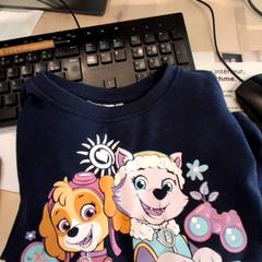 Jersey infantil Pull paw patrol bleu foncé, segundo informou IKEA Rouen Tourville-La-Rivière usando iLost