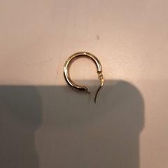 귀걸이, iLost를 사용하여 LUMC에 보고됨