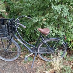 Fiets, como reportado ao iLost