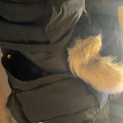 Bunda Black, ako bolo nahlásené MEININGER Hotel Dresden Zentrum pomocou iLost