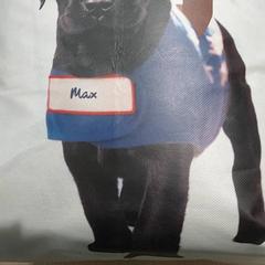 バッグ - draagtas がiLostで Centraal magazijn によって報告されました