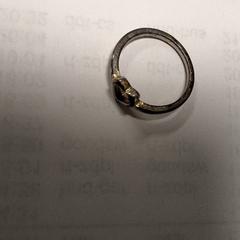 指輪 がiLostで Transdev Hoeksche Waard Goeree Overflakkee によって報告されました