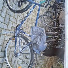 Bicicleta masculina, segundo informou Gemeente Roermond usando iLost