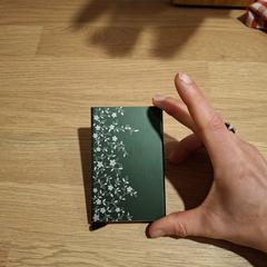 Pasjeshouder, som rapporterats till iLost