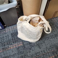 Tas, rapporterat av Connexxion Haarlem IJmond med iLost