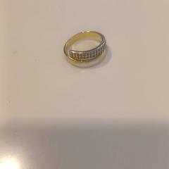 Anell, segons ha informat RAI Amsterdam mitjançant iLost