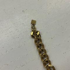 Pulseira, segundo informou Het Amsterdamse Winterparadijs usando iLost