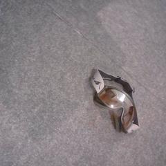 Skibril، كما تم الإبلاغ عنه بواسطة SnowWorld Landgraaf عبر iLost