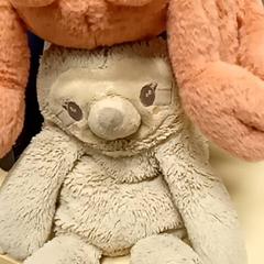 Hračka, ako bolo nahlásené Mövenpick Hotel Amsterdam City Centre pomocou iLost