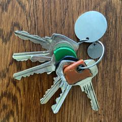 Sleutelbos, come riportato a iLost