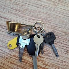 鍵 がiLostで Gemeente Zeist によって報告されました