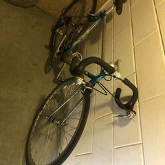 racefiets, jak zgłoszono do iLost