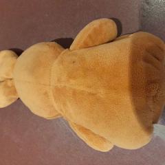 صفعة محبوبة lapin marron، كما تم الإبلاغ عنه بواسطة TCL عبر iLost