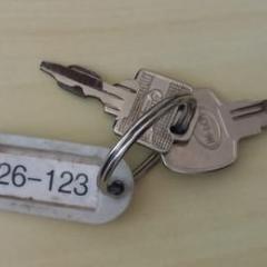 Sleutelbos 26-123, come riportato a iLost