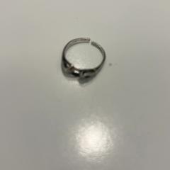 Prsteň Zilver, ako bolo nahlásené HvA Amstelcampus pomocou iLost