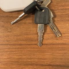 Clauer, segons ha informat Pathé Zaandam mitjançant iLost