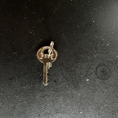 Key (make=Master P399), as reported to iLost