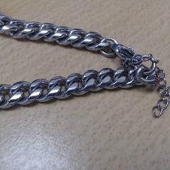 Pulseira, segundo informou Walibi Holland usando iLost