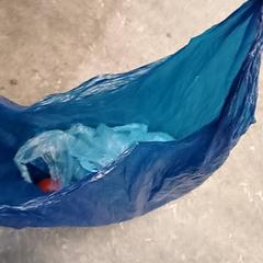 가방 tasjr, iLost를 사용하여 Qbuzz GD Groningen HS에 보고됨