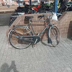 Bicicleta masculina L'Avenir groen-grijs, segons ha informat Fietsdepot mitjançant iLost