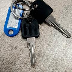 Sleutels がiLostで RRReis Trein Amersfoort / Ede-Wageningen によって報告されました