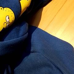 Pulóver, amint azt Beekse Bergen Resorts en Hotel az iLost segítségével jelentette.