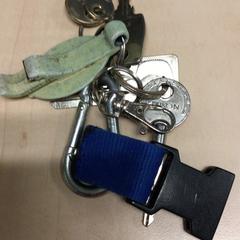 키체인, iLost를 사용하여 Haaglanden Medisch Centrum에 보고됨