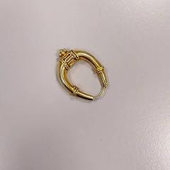 Belarritakoa Goud, gisa salatu by Vrije Universiteit Amsterdam iLost erabiliz