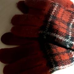 Oblečenie Handschoenen, ako bolo nahlásené Regio Antwerpen - Brussel pomocou iLost