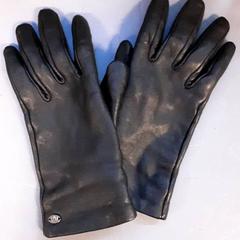 Hansker, som rapportert av Diergaarde Blijdorp ved bruk av iLost