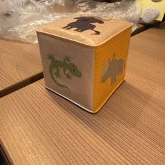 Hračka kubus, ako bolo nahlásené Van der Valk Hotel Deventer pomocou iLost