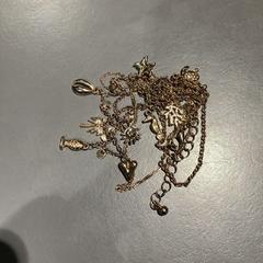 Collier Gold, a été signalé par Pathé Tilburg Stappegoor utilisant iLost