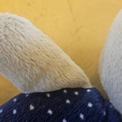 حشرجة الموت، كما تم الإبلاغ عنه بواسطة Avonturenboerderij Molenwaard عبر iLost