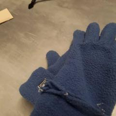 Handschoenen blauw, as reported by Arriva Friesland / Groningen using iLost