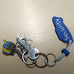 Clé, a été signalé par Regio Limburg - Leuven utilisant iLost