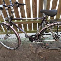 Bicicletta Herenfiets, come riportato da Fietsdepot Meierijstad utilizzando iLost