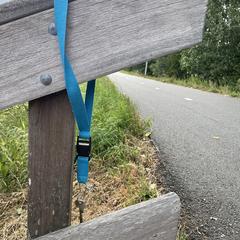 Sleutel met blauwe keycord an iLost gemeldet