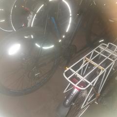 Fiets, amint azt az iLostnak jelentették.