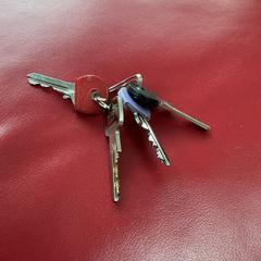 Sleutelbos, som rapporterats till iLost