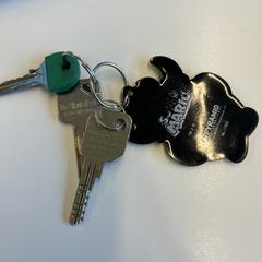 Sleutels, as reported to iLost