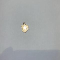 Hangertje Goud, ako bolo nahlásené Gemeente Gooise Meren pomocou iLost