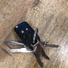 Sleutelbos, iLost에 보고됨