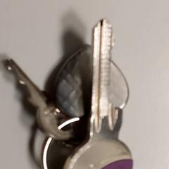 Chave, como reportado por Centraal magazijn utilizando o iLost