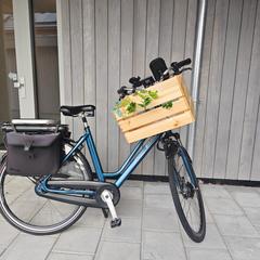 Fiets, som rapportert til iLost